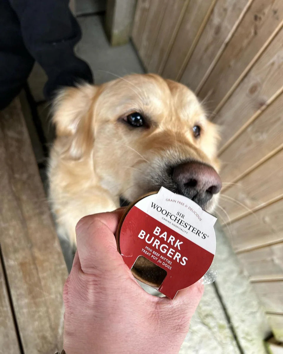 SIR WOOFCHESTER Bark Burgers Treat Pot