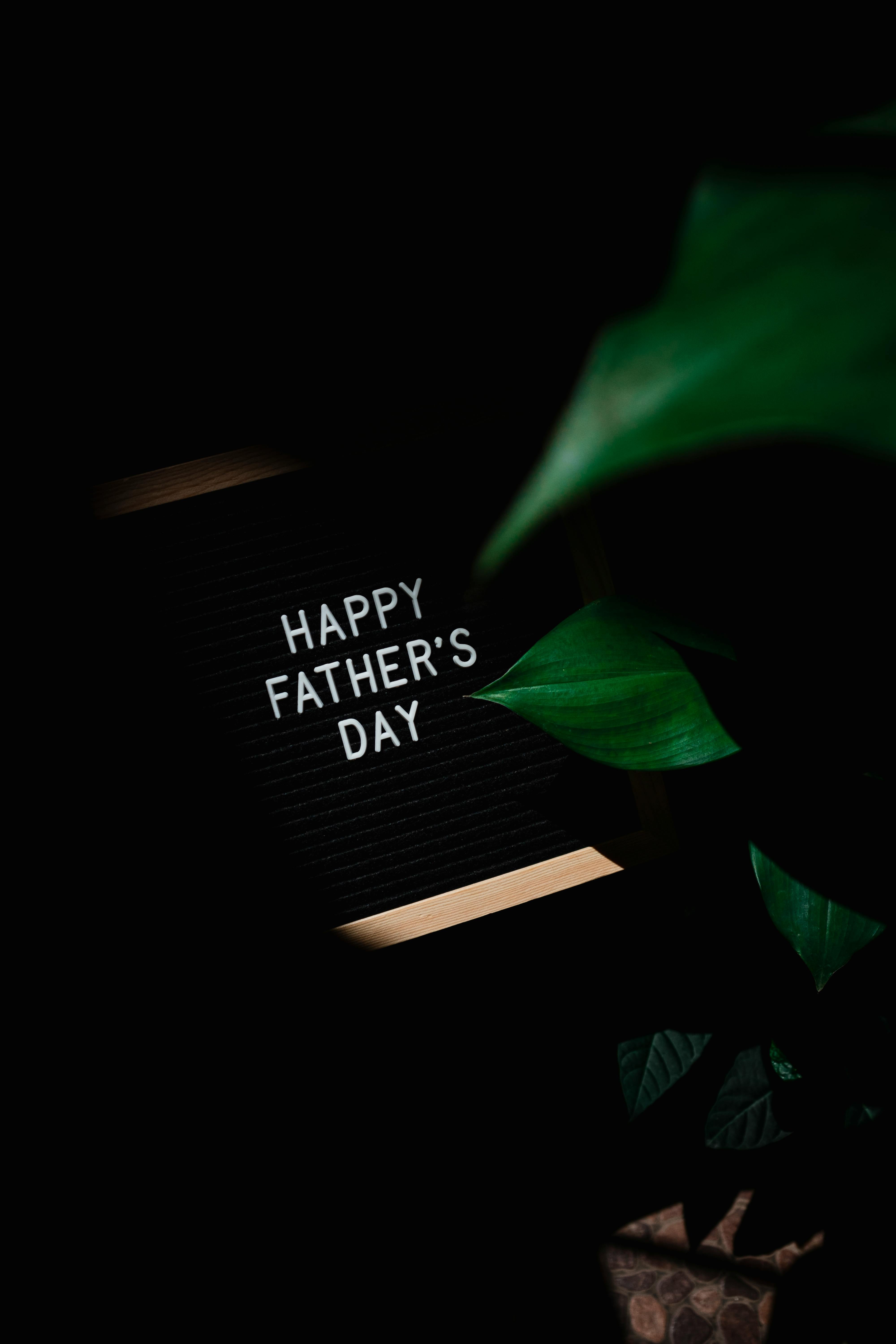 Father's Day