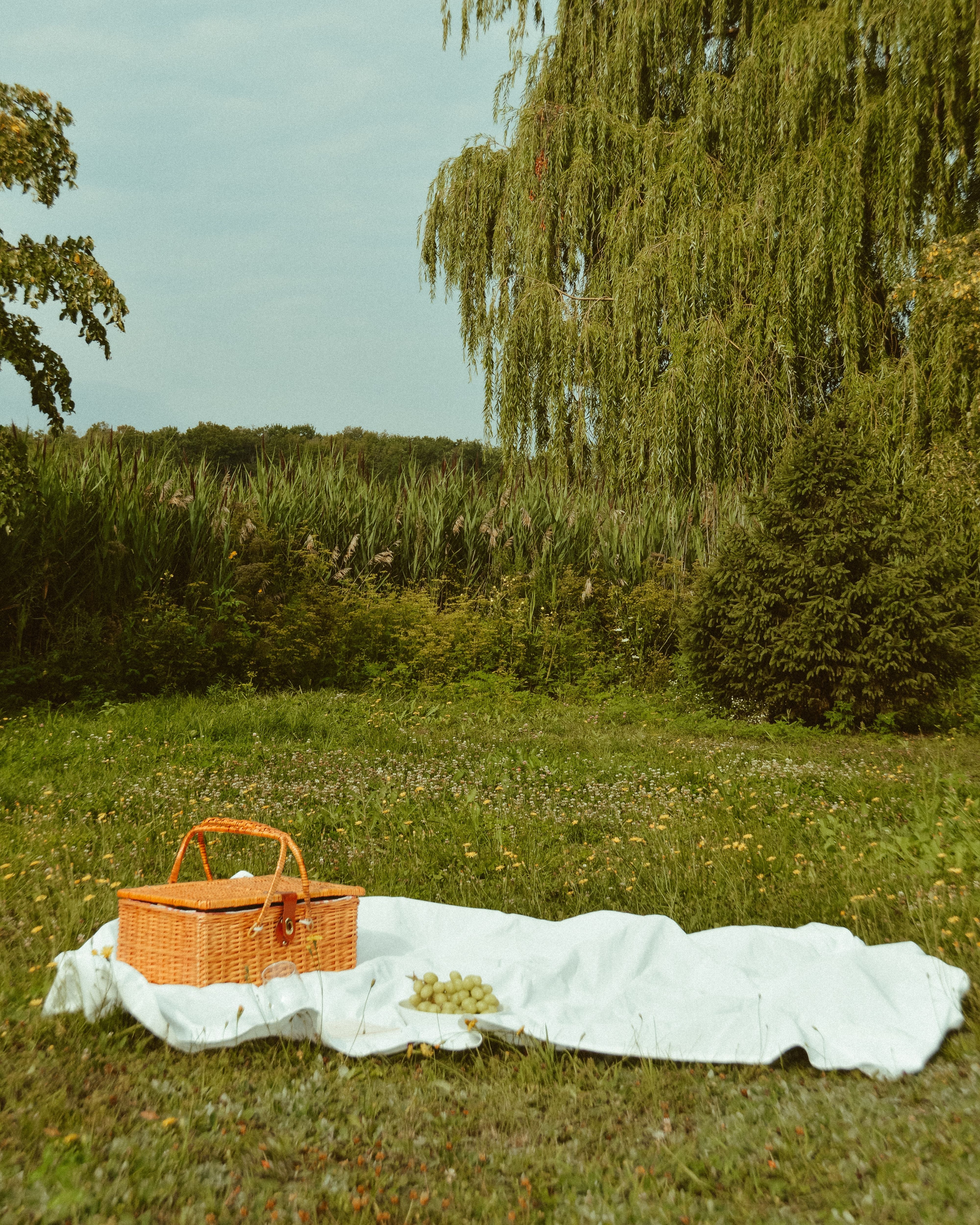 Hamper Essentials