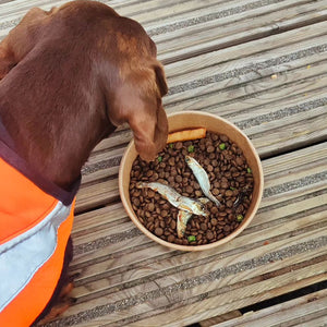 SIR WOOFCHESTER Fish & Chips Dog Bowl 