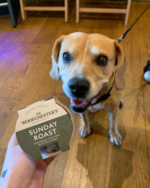 SIR WOOFCHESTER Sunday Roast Treat Pot 47g 