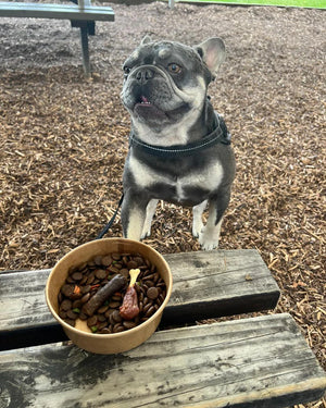 SIR WOOFCHESTER Roast Dinner Dog Bowl 