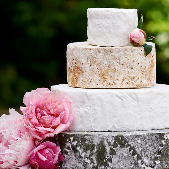 FLYNN'S The Soft & Crumbly Cheese Wedding Cake Tasting Box