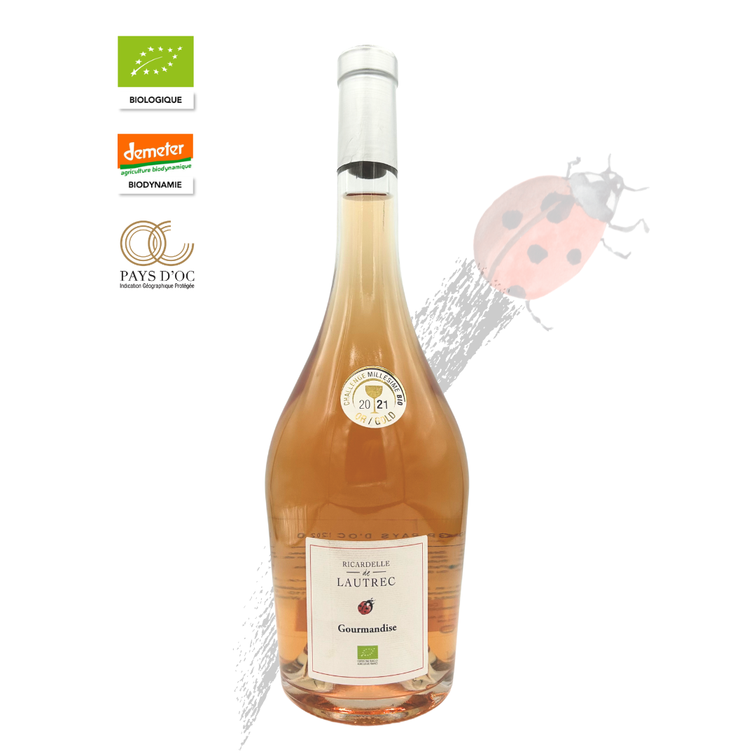 Pinot Noir Rosé 2020 – A Wine That Defies Categories 