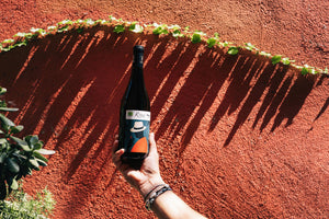Organic & Natural Wine - Robert 2022 