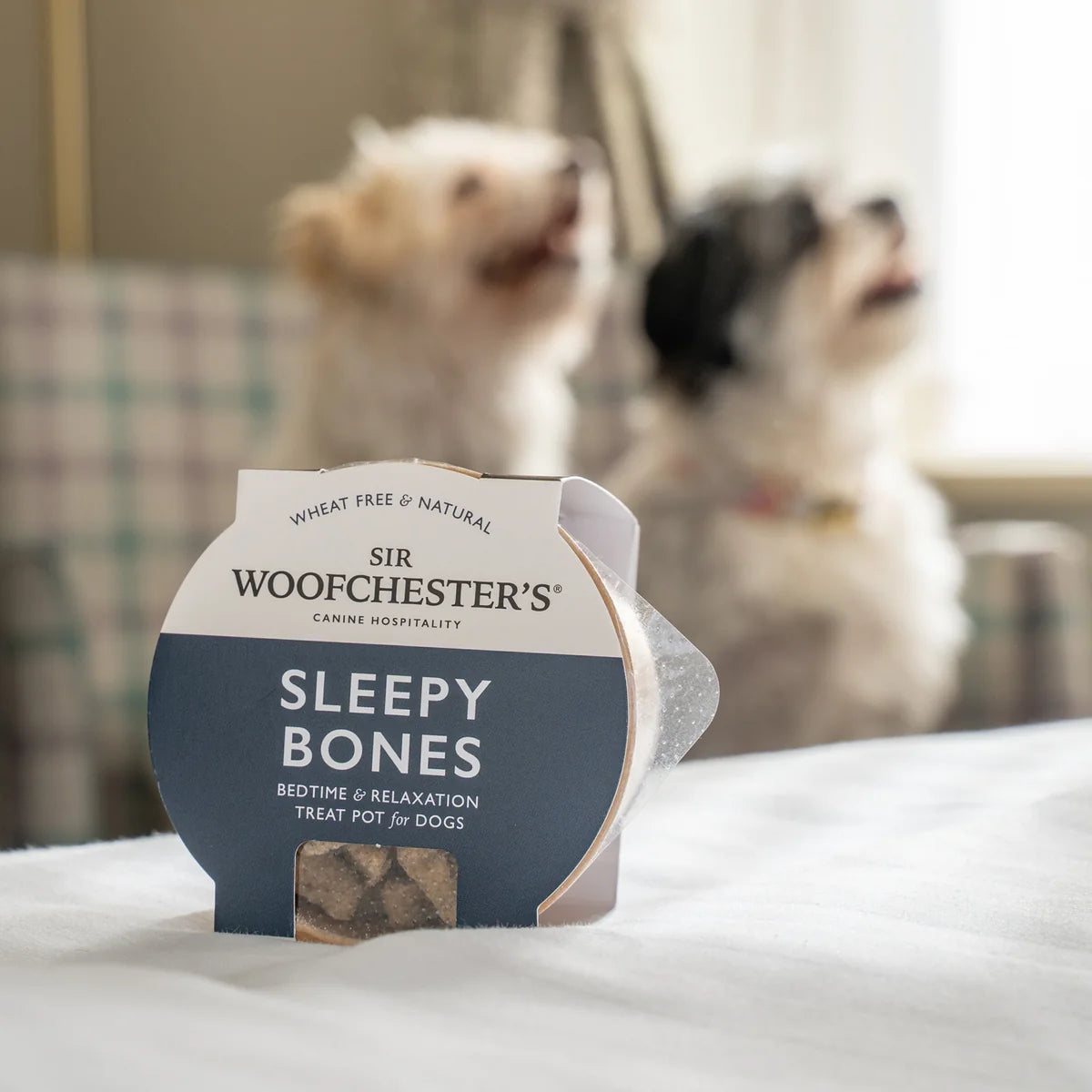 SIR WOOFCHESTER Sleepy Bones Treat Pot 