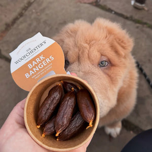 SIR WOOFCHESTER Bark Bangers Treat Pot 49g 